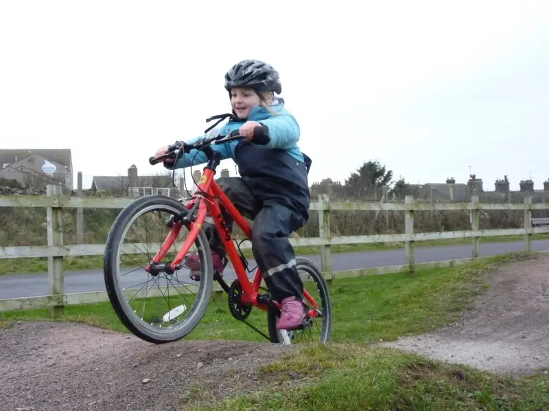 Family Cycling Frog Bike how to make my kids like cycling