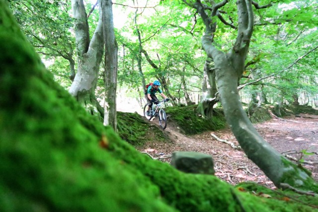 Entry Open for THE EX Presented by DMRBIKES