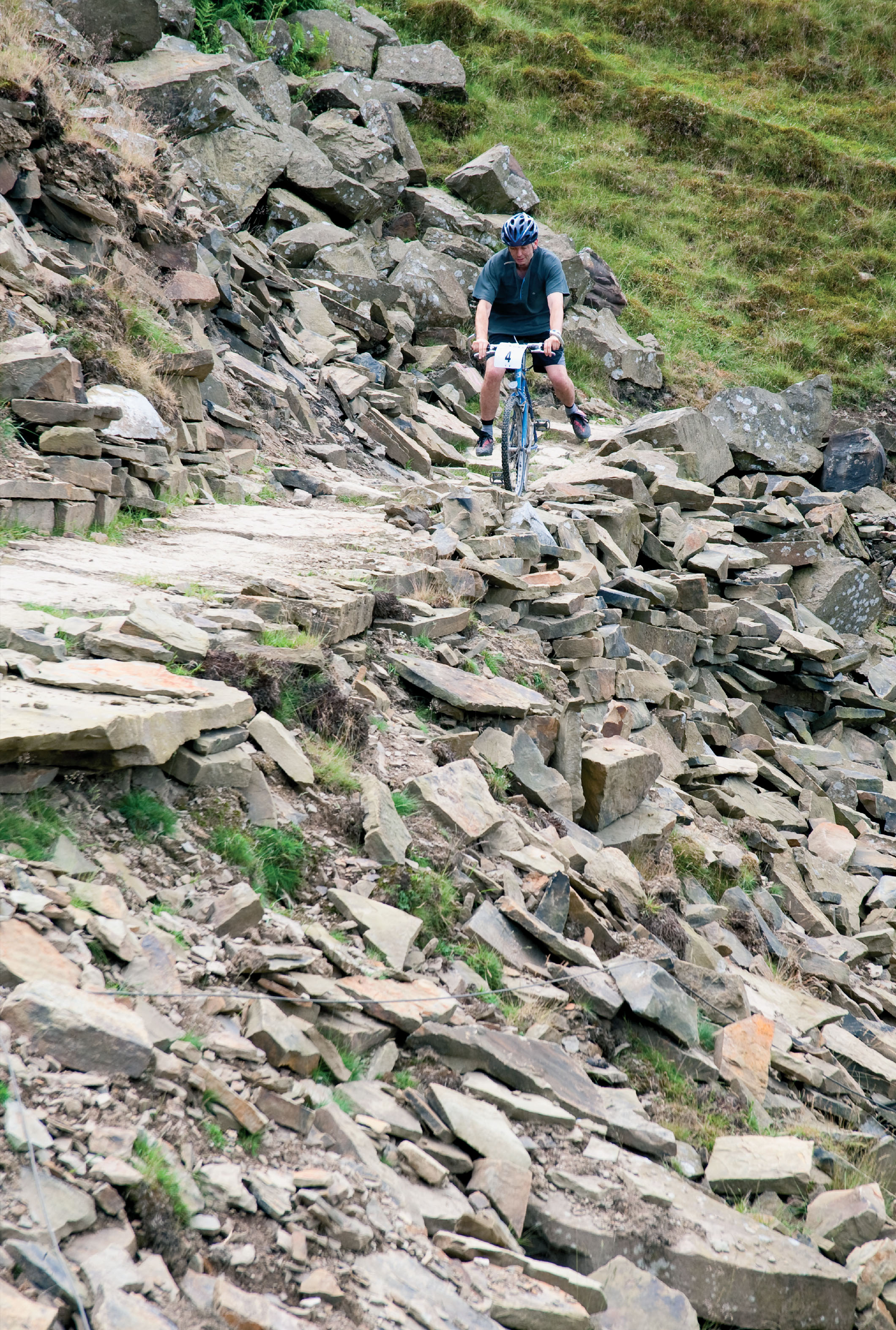 Issue 54 Beautiful losers