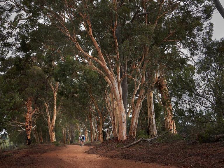 Event: Gravelling down under – The Beverley Heroic