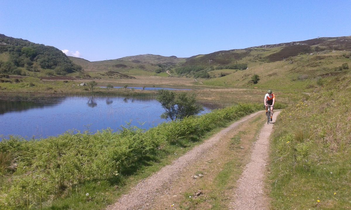 Unforecast Pleasures