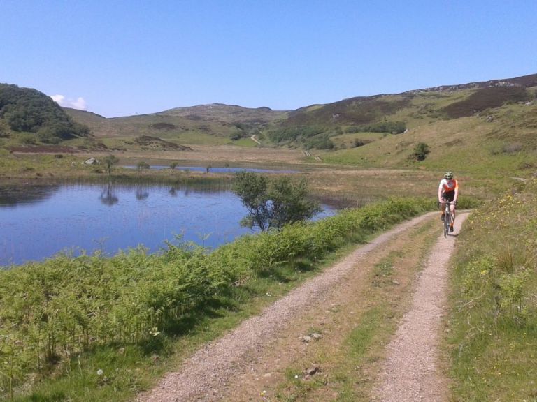 Unforecast Pleasures