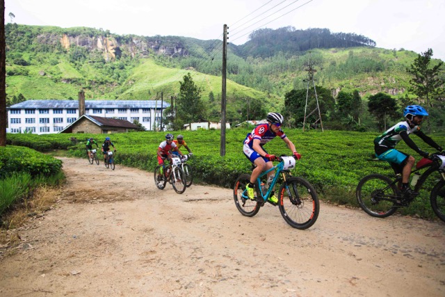 Mumble In The Jungle – Part Four