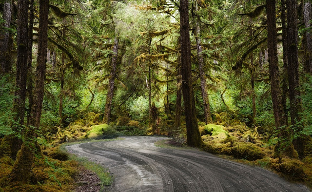 Gran Fonduro Postponed until 2017