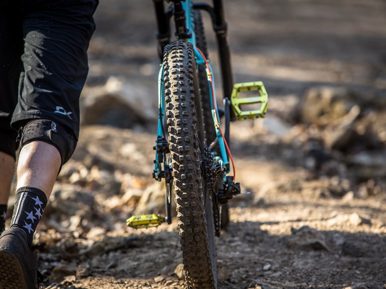 Would You Ride a Plus-Sized Dirty Wizard?