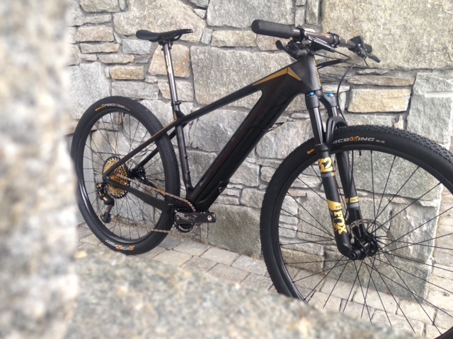 Breaking: New Focus e-Bike Launched