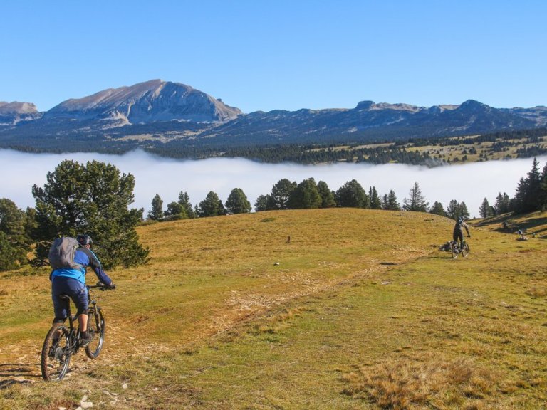 Tuesday Treats 151: Premier Prize