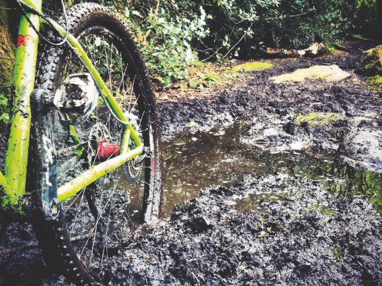 Online Feature: Thunderstruck