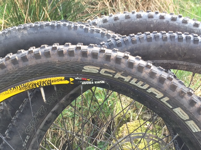 29er Retrospective Poll: Future or Fad?