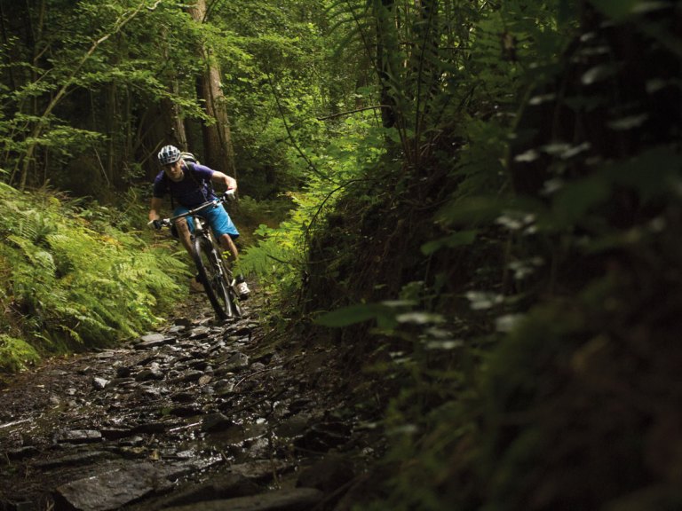 Throwback Thursday: Waking the Sleeping Giant