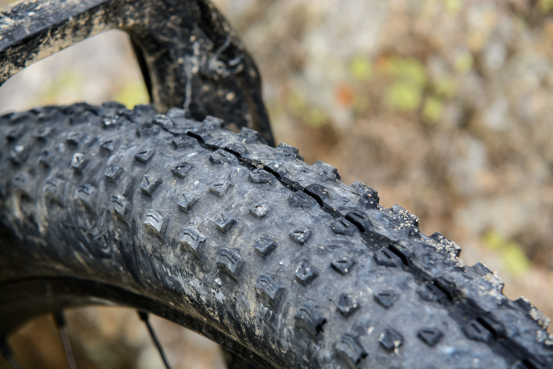 Semi fat Maxxis Ikon 2.8" tyres are fast rolling and offer lots of climbing traction