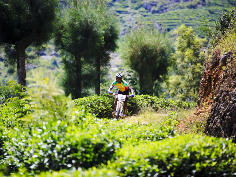 Video: Rumble In The Jungle