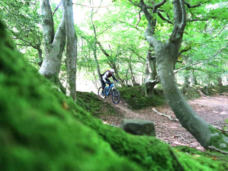 DMR Bikes Presents The EX