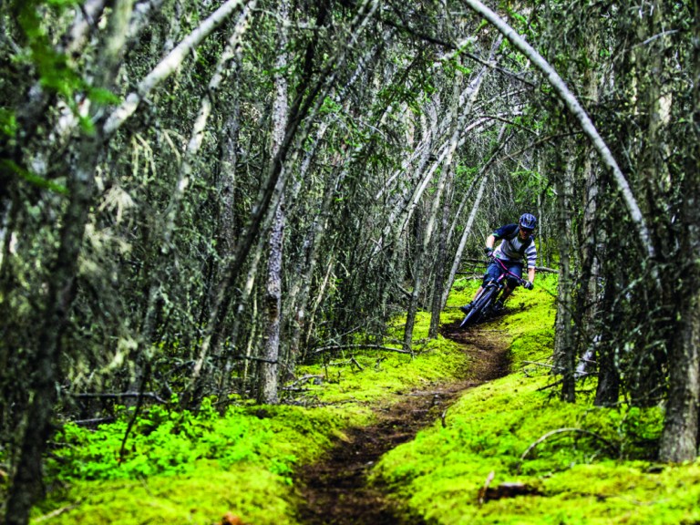 Lonely Planet: Epic Rides Of The World