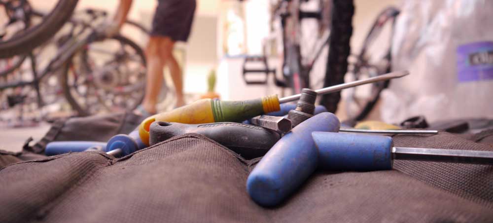 Updated: Trek Trains Expert (Female) Technicians