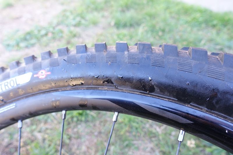 specialized tyre control casing carbon rim 650b tubeless 2bliss butcher slaughter dry rocky sun dust australia dharco