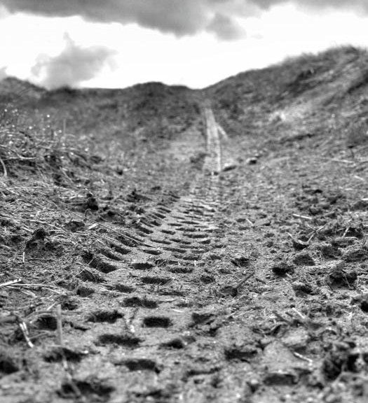 Vicious Cycle | A journey through depression on a bike