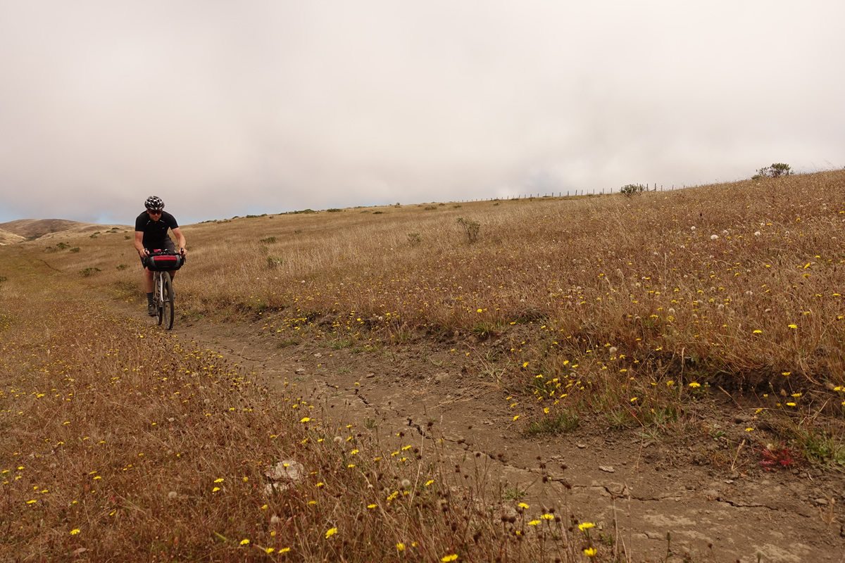 I’ll Have My Eggs Over Barbed Wire