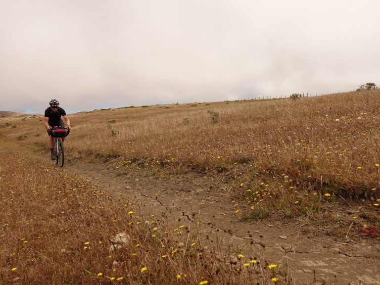 I’ll Have My Eggs Over Barbed Wire