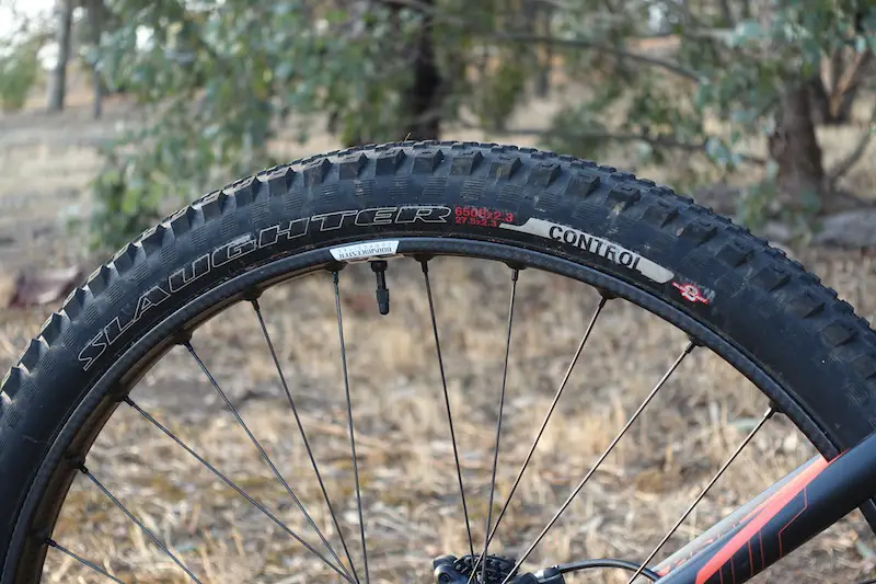 specialized tyre control casing carbon rim 650b tubeless 2bliss butcher slaughter dry rocky sun dust australia dharco