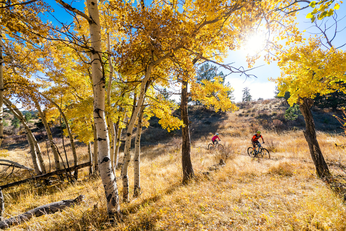 New JET9 Alloy From Niner Bikes – Singletrack World Magazine
