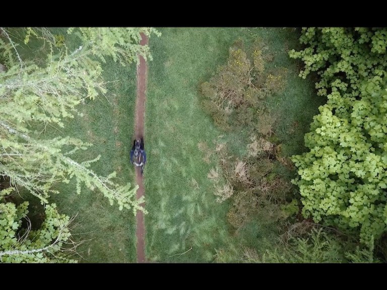 TweedLove: The 2017 Glentress Seven