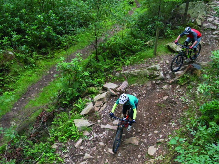 Throwback Thursday – The rebirth of Coed y Brenin