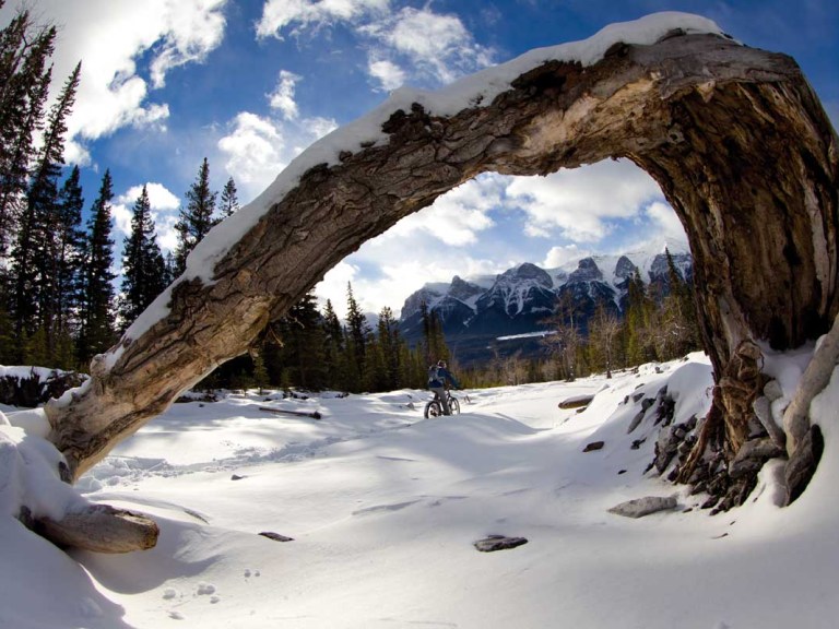 Throwback Thursday: The True North, Strong And Free