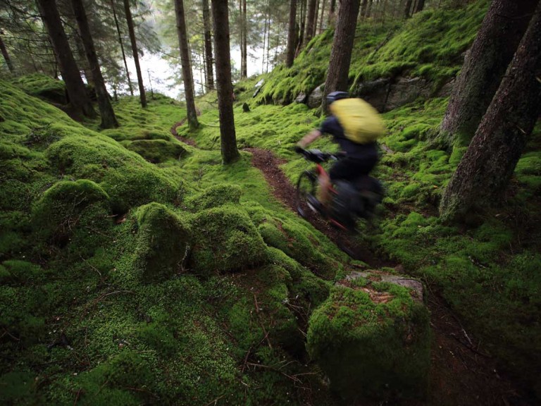 Throwback Thursday: The Wet Feet Trip