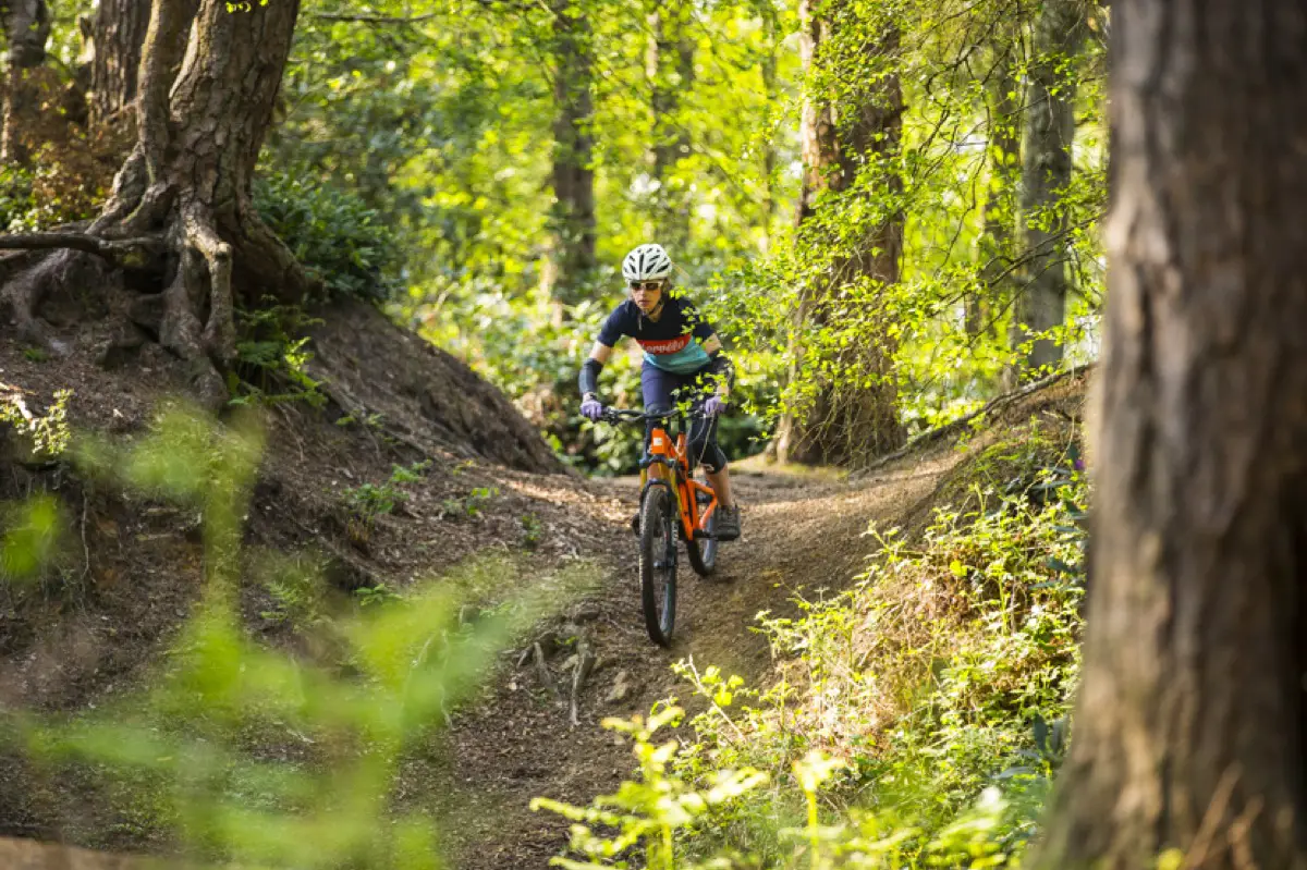 leith-hill-natural-trails