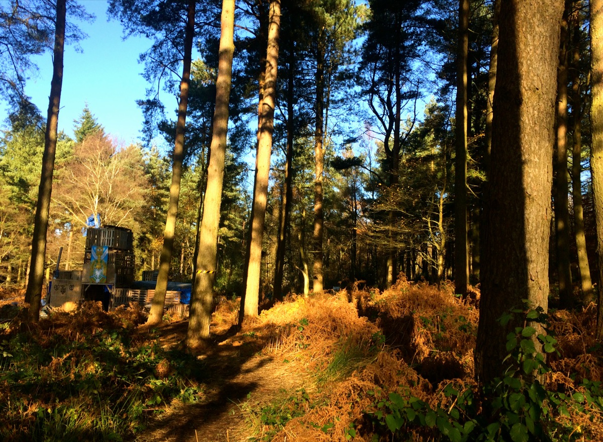 leith-hill-protection-camp