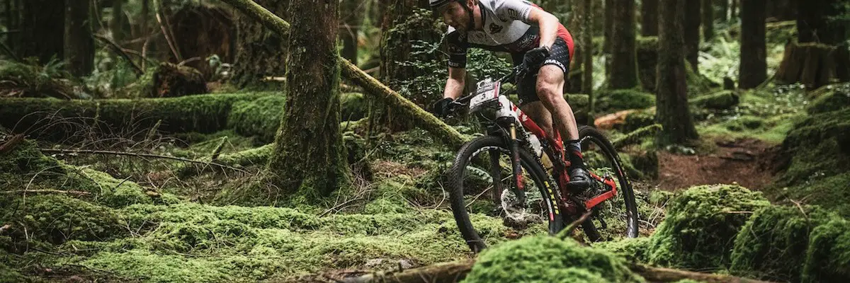 rocky mountain element bc bike race forest green loam