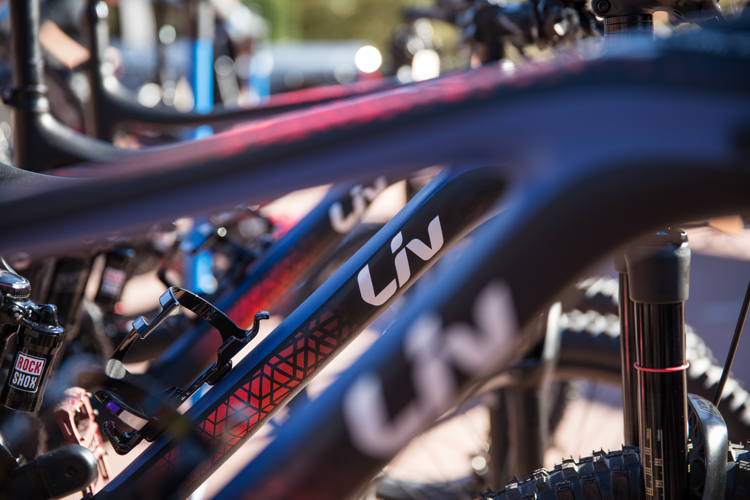 Picture Credit: Sterling Lorence