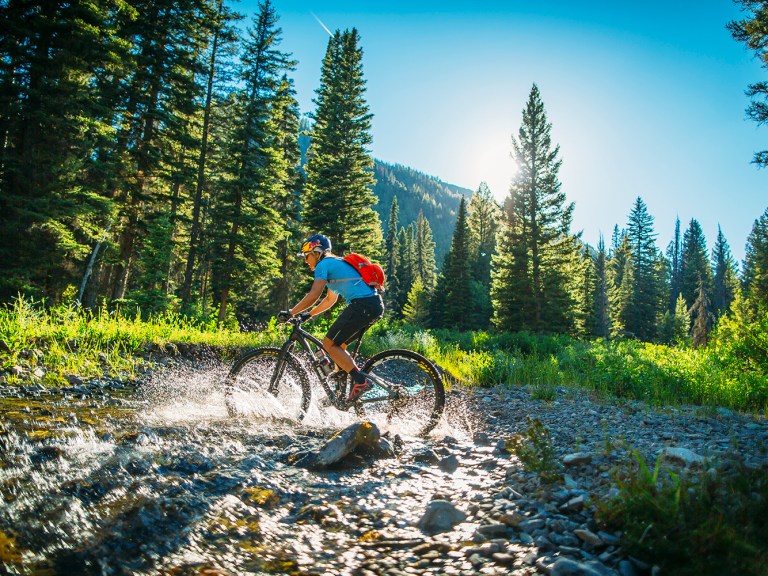 Seeking The Limelight