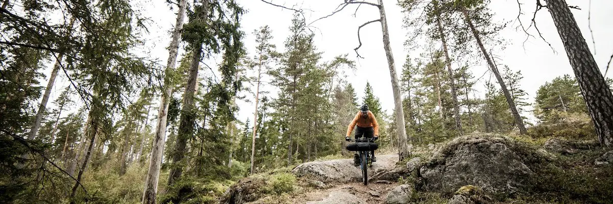 kona unit singlespeed bikepacking finland camping adventure trees