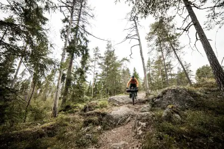 kona unit singlespeed bikepacking finland camping adventure trees