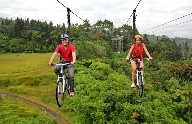 eden nature park skycycle