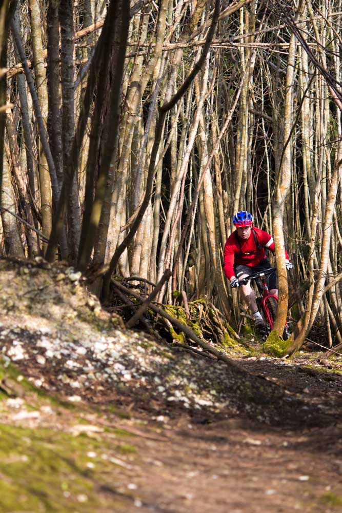 Not a great place to be for those with Dendrophobia