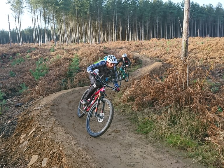 Tuesday Treats 159 : Stif