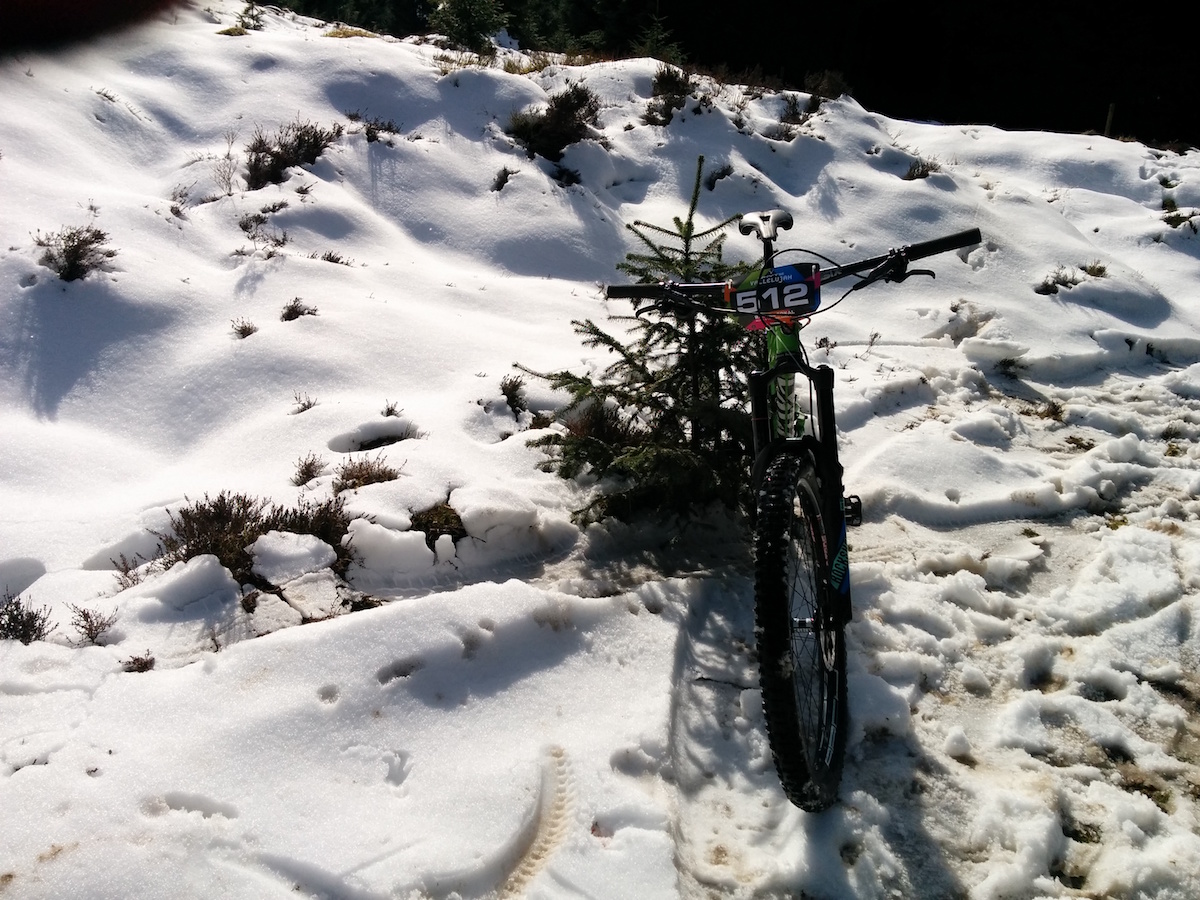 vallelujah rachel sokal snow