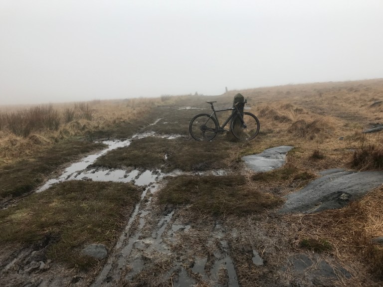 Training Guilt And Toads