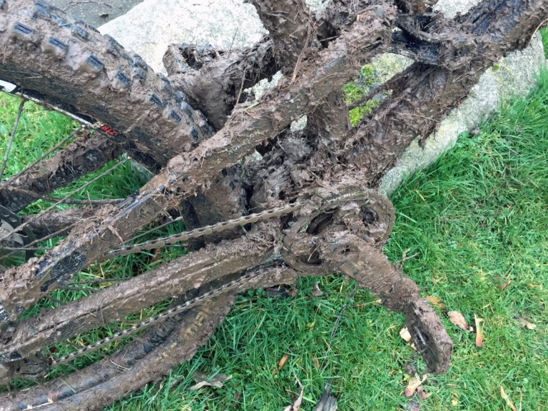 Ae Forest Downhill – #MakingUpTheNumbers