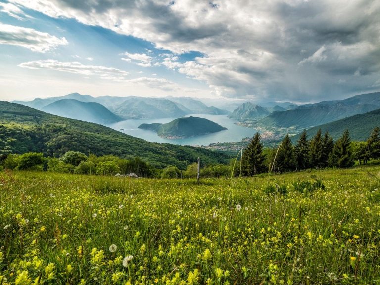 Event: Jeroboam Challenge