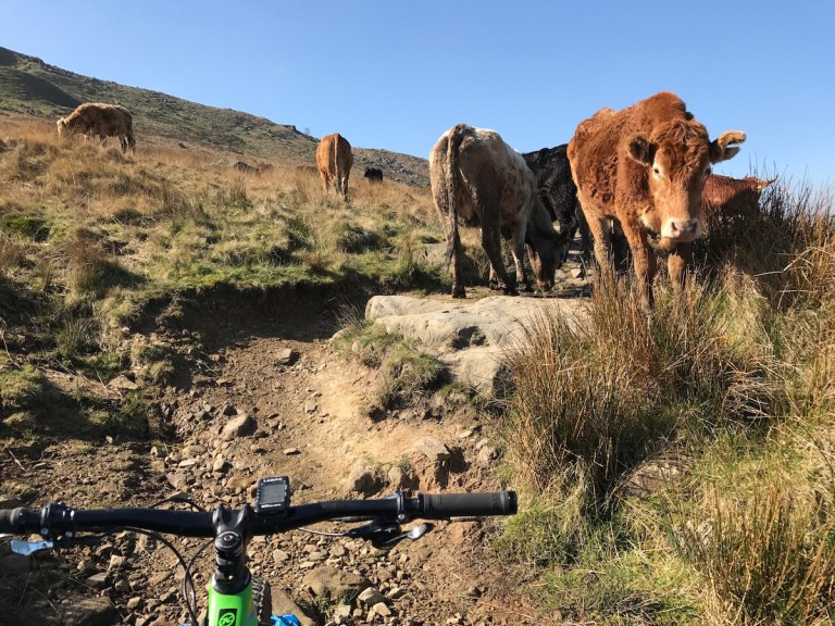 Monday Morning Debrief 82