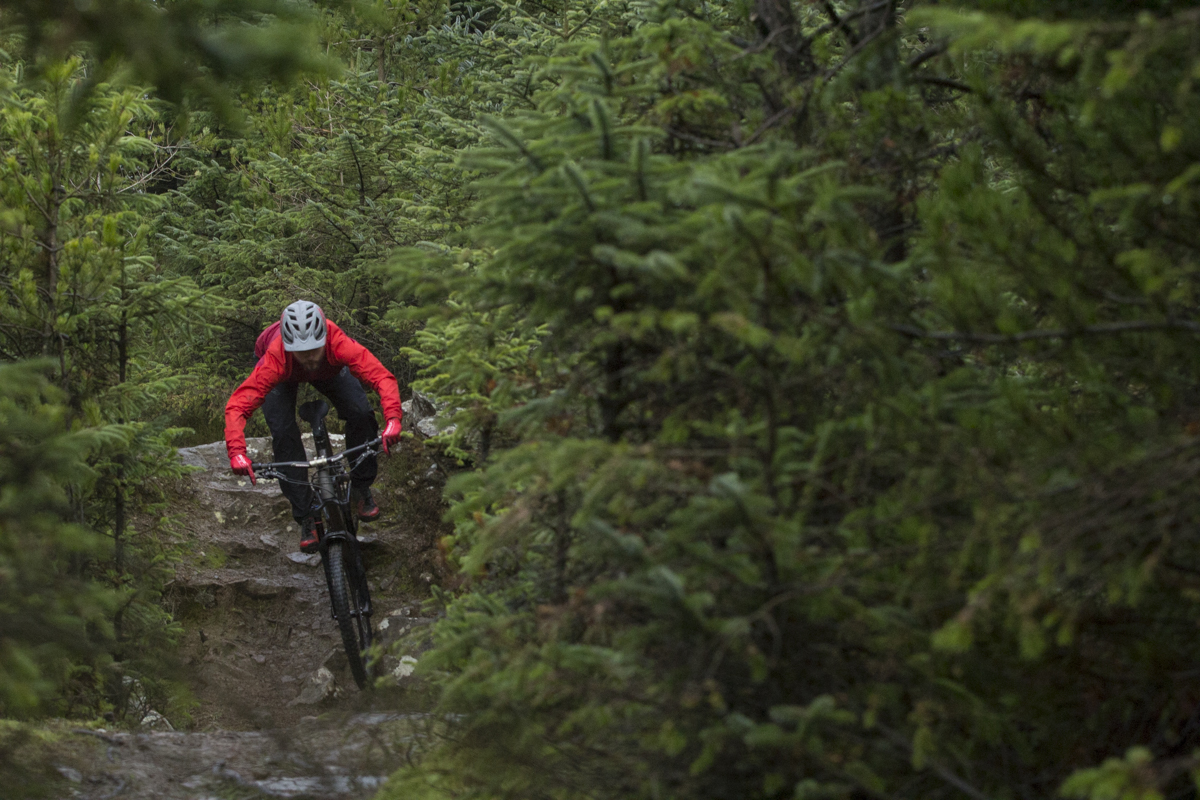 wil robot r160 gisburn