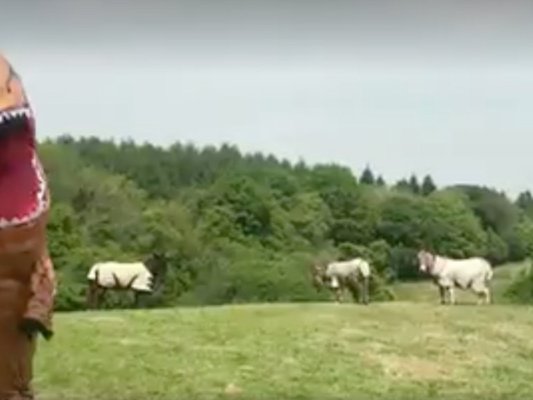 Video: Don’t Miss Rowan Sorrell’s Sick New Edit