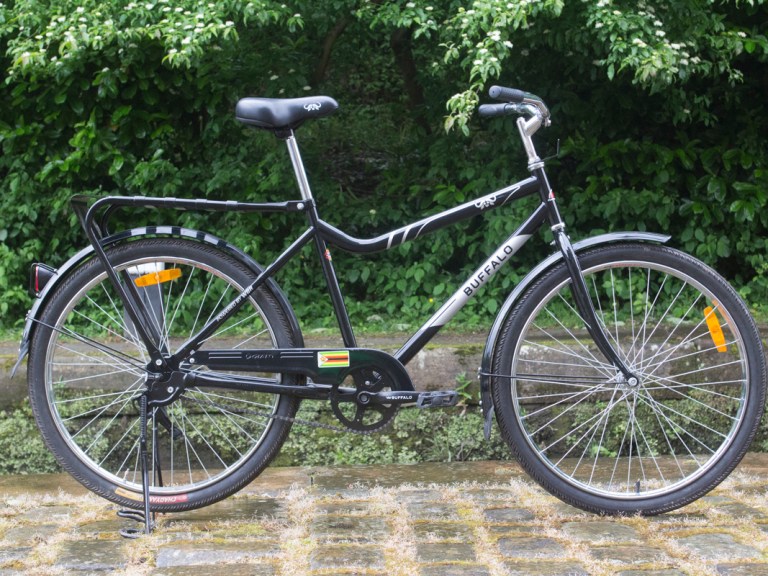 Bike Check: Buffalo Bike
