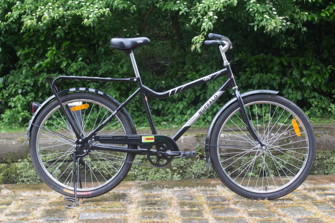 Bike Check: Buffalo Bike