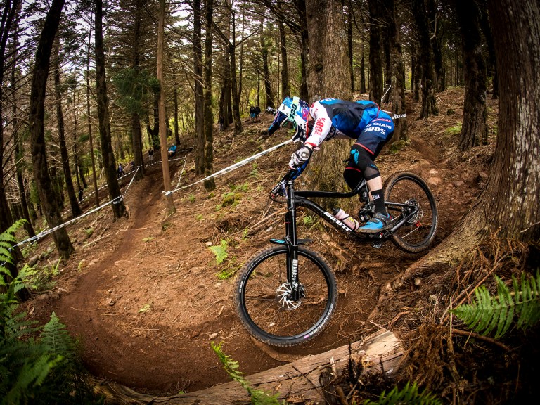 Giant Reveal 2018 Reign Range