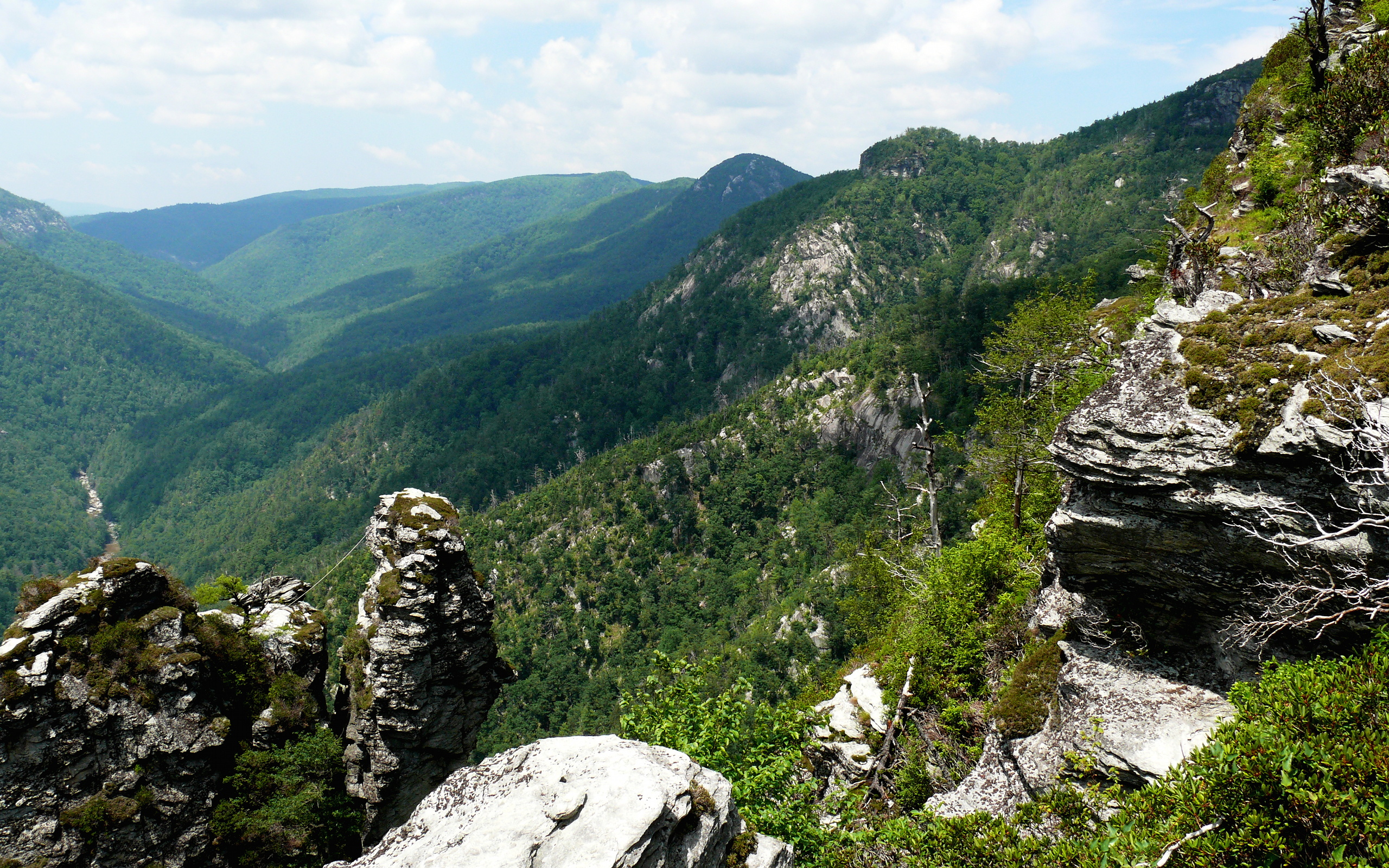 Linville Gorge